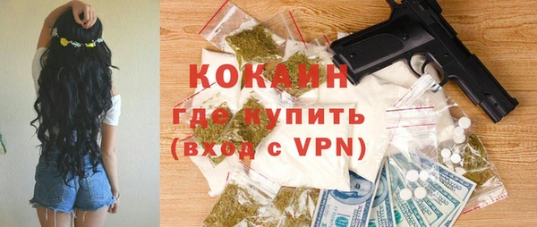 шишки Кукмор
